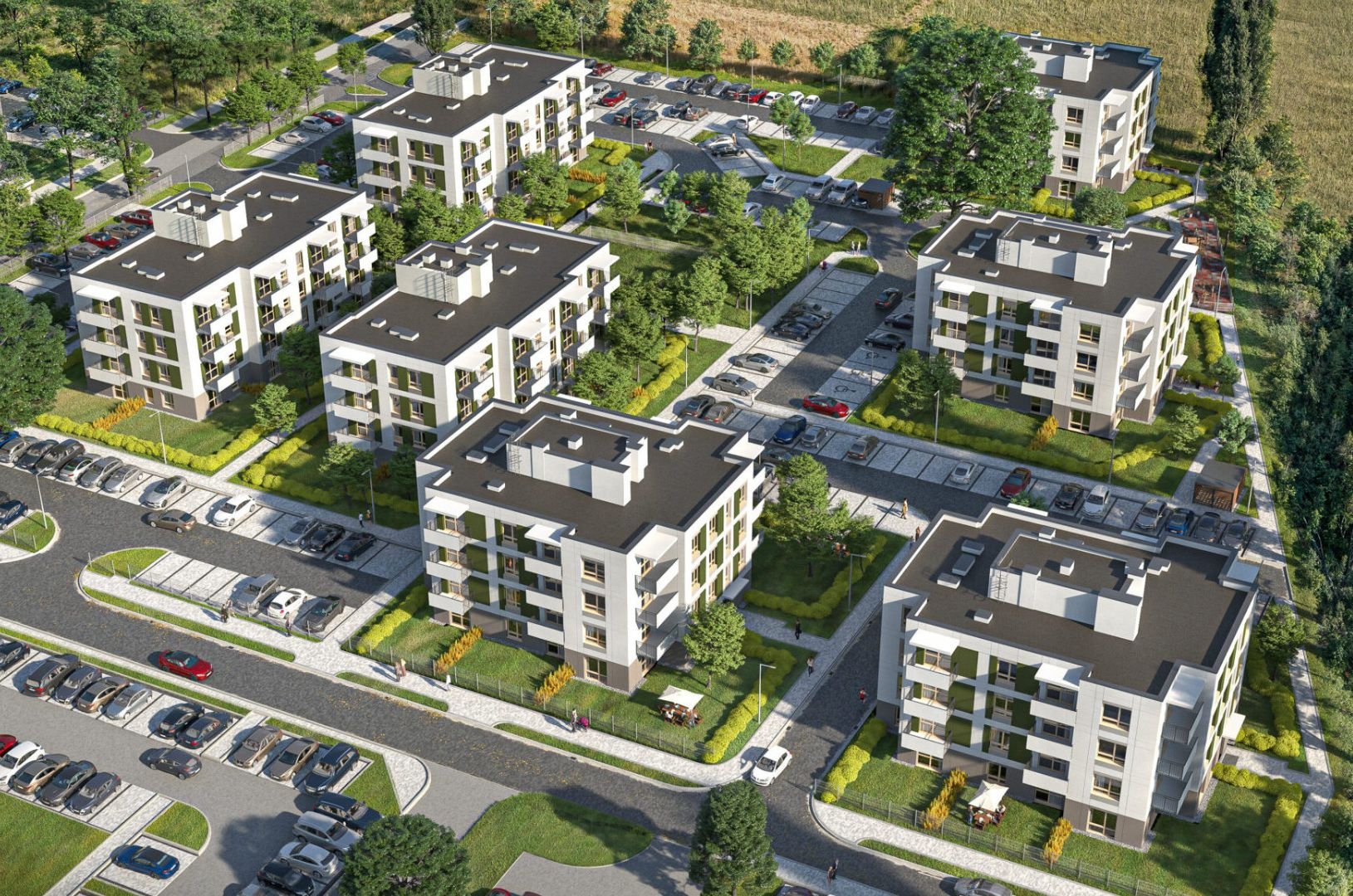Zielone Zamienie XI
